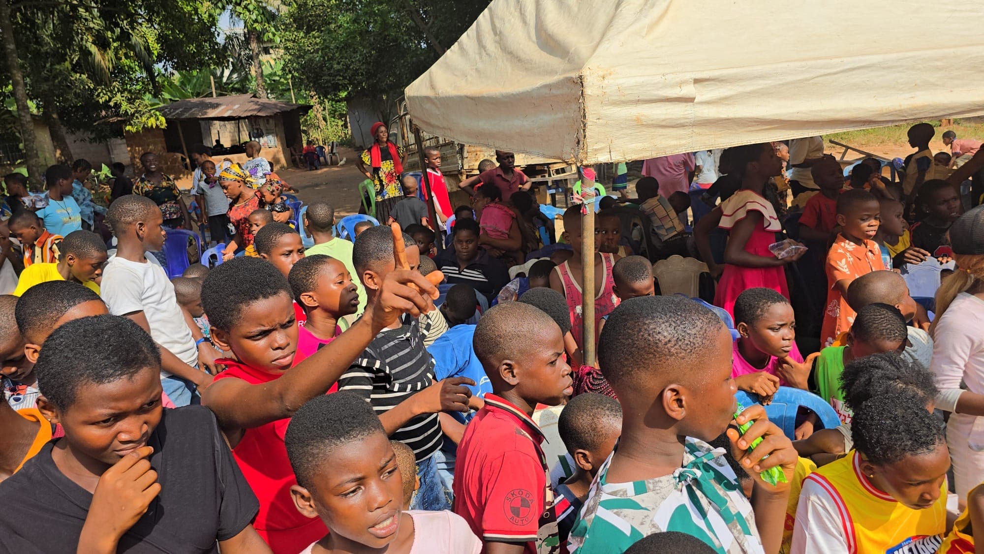 Foundation activity 12